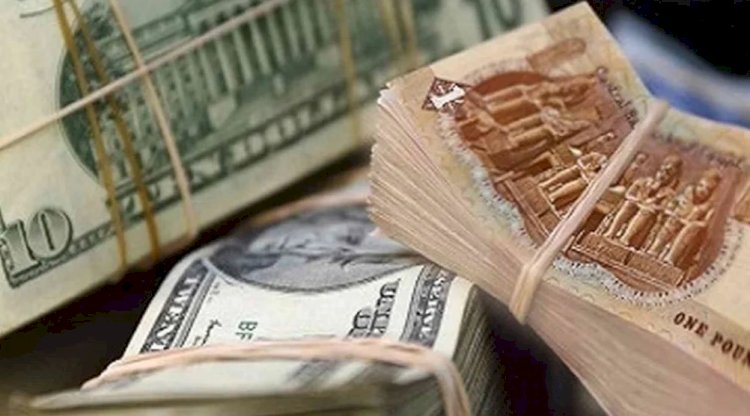 "الشقيقان" تجار نقد اجنبي قيناوي