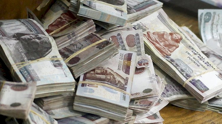 "الاسكندراني وابنه"اسوليا علي ملايين المواطنين بحجة تشغيلها في الاستثمار العقاري