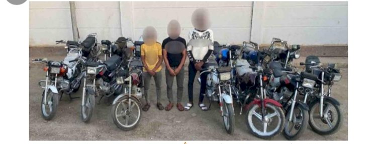 ضبط عدة تشكيلات سرقات متنوعة في عدة  محافظات