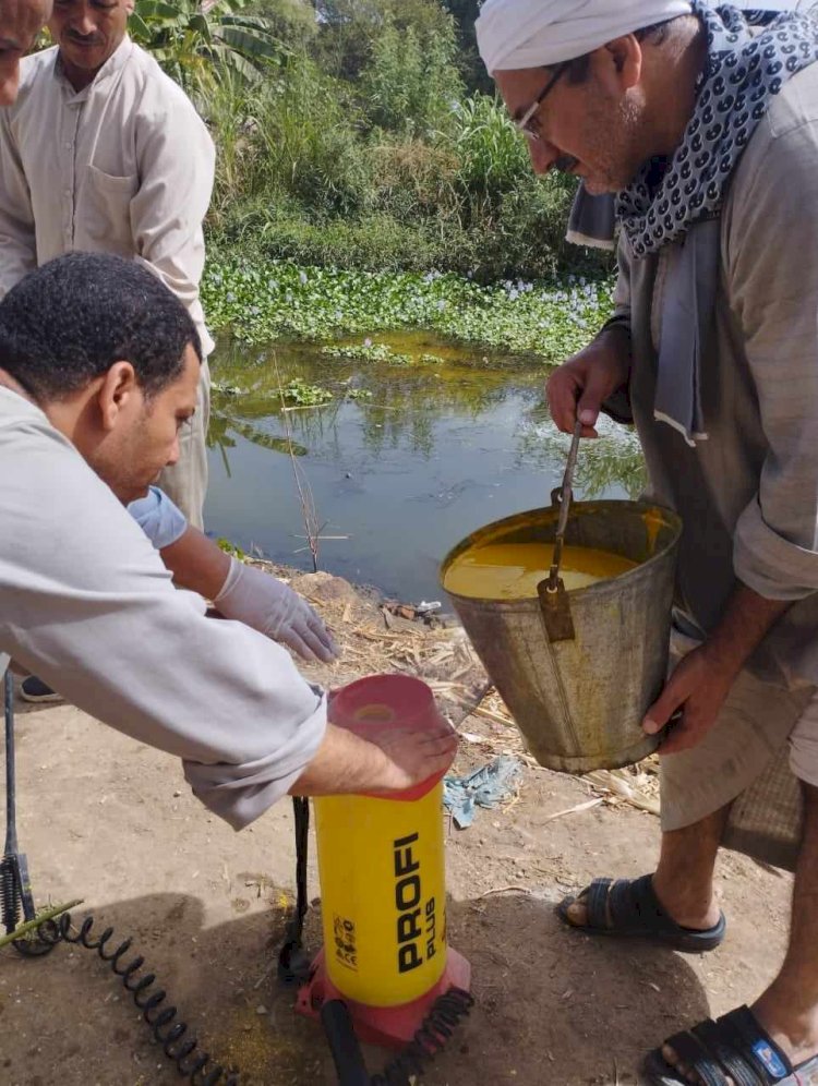 صحة المنيا تواصل مكافحة الأمراض المتوطنة و الترصد الحشري ومكافحة ناقلات ومسببات الأمراض