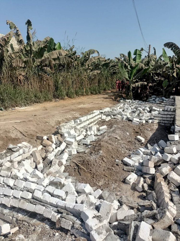 إزالة 83 حالة تعد على الأرض الزراعية خلال حملات مكبرة فى 6 مراكز المنيا