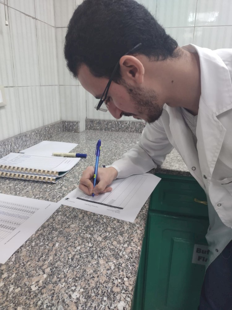 الزراعة تكافح العفن البني في البطاطس