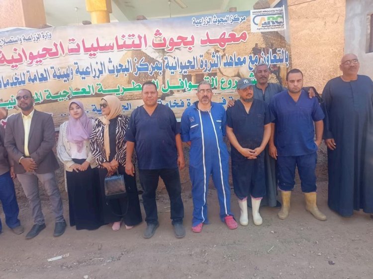 علاج مواشي صغار المربين باسوان