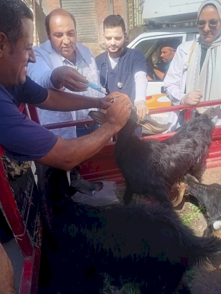 قافلة بيطرية علاجية بقرية دير أبو حنس بمركز ملوي بالمنيا