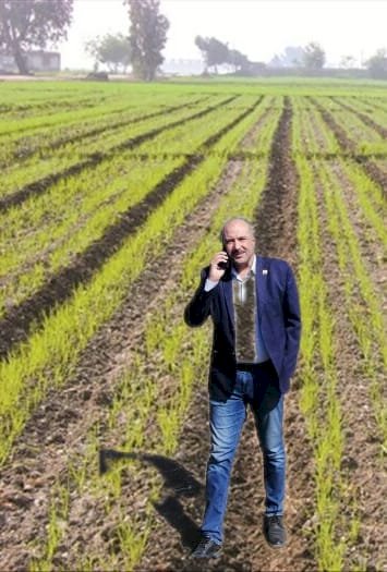 الزراعة:تتابع  زراعات حقول القمح في الفيوم وقنا والاقصر