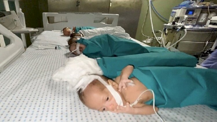 جنون الأنفاق والرهائن داء هتلر القرن . . الخدج والنساء وقود محرقة هولوكوست الشفاء