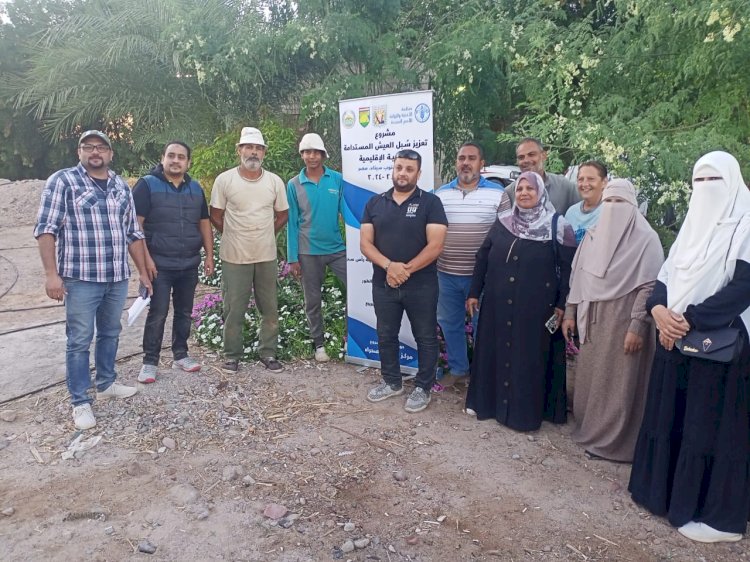 بحوث الصحراء والفاو يدعمان زراعات القمح والفول والشعير بجنوب سيناء