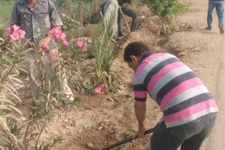 زراعة 113 شجرة مثمرة بمركز مطاي بالمنيا ضمن المبادرة الرئاسية 100 مليون شجرة