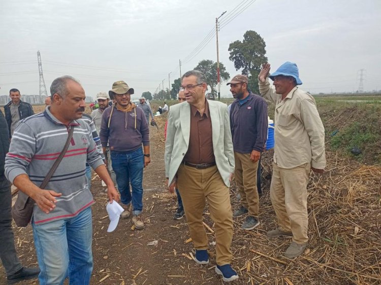 الزراعة تطمئن علي تقاوي القمح الجيدة المعتمدة