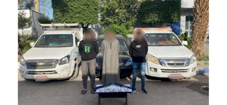 كوكتيل تشكيلات عصابية سرقات متنوعة