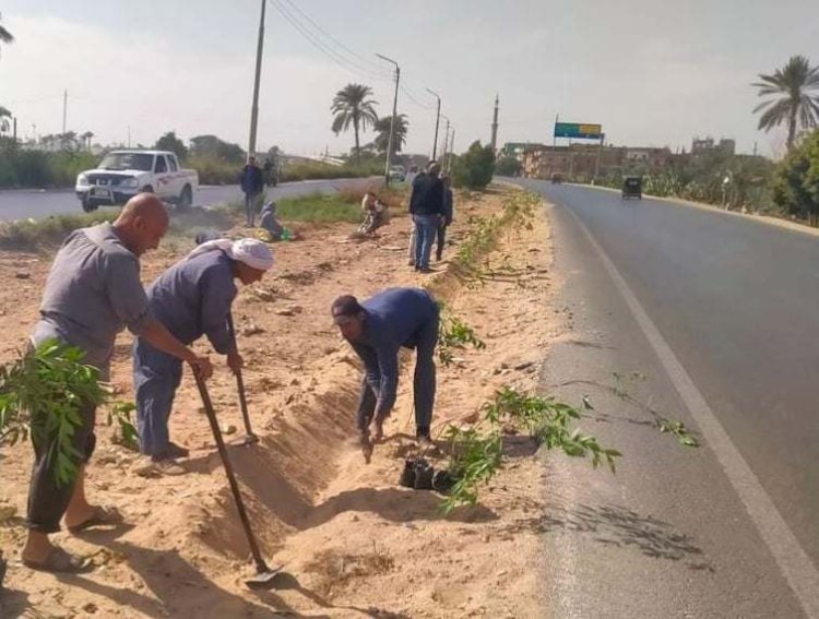 زراعة 1210 أشجار مثمرة فى مركزين بالمنيا ضمن مبادرة 100 مليون شجرة
