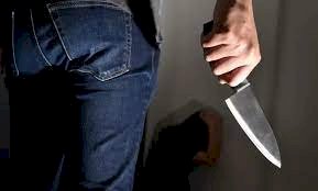 عاطل القليوبية قتل جارته المسنة لسرقة تليفونها المحمول