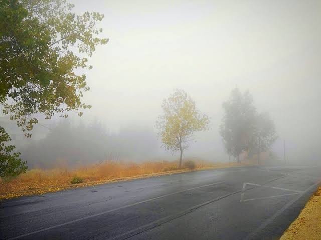 طقس الثلاثاء شبورة كثيفة تصل للضباب وأمطار رعدية ببعض المناطق