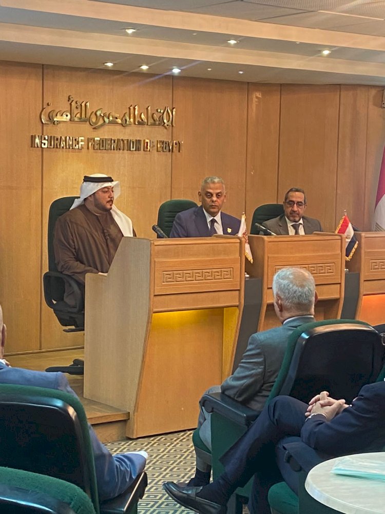 تعاون بين مصر والامارات في مجال التأمين