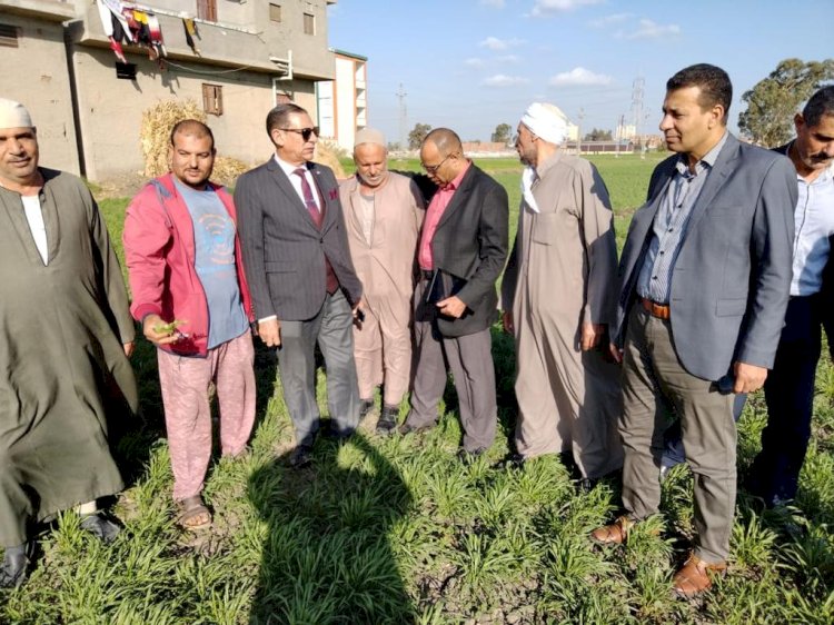 الزراعة تتابع زراعة القمح