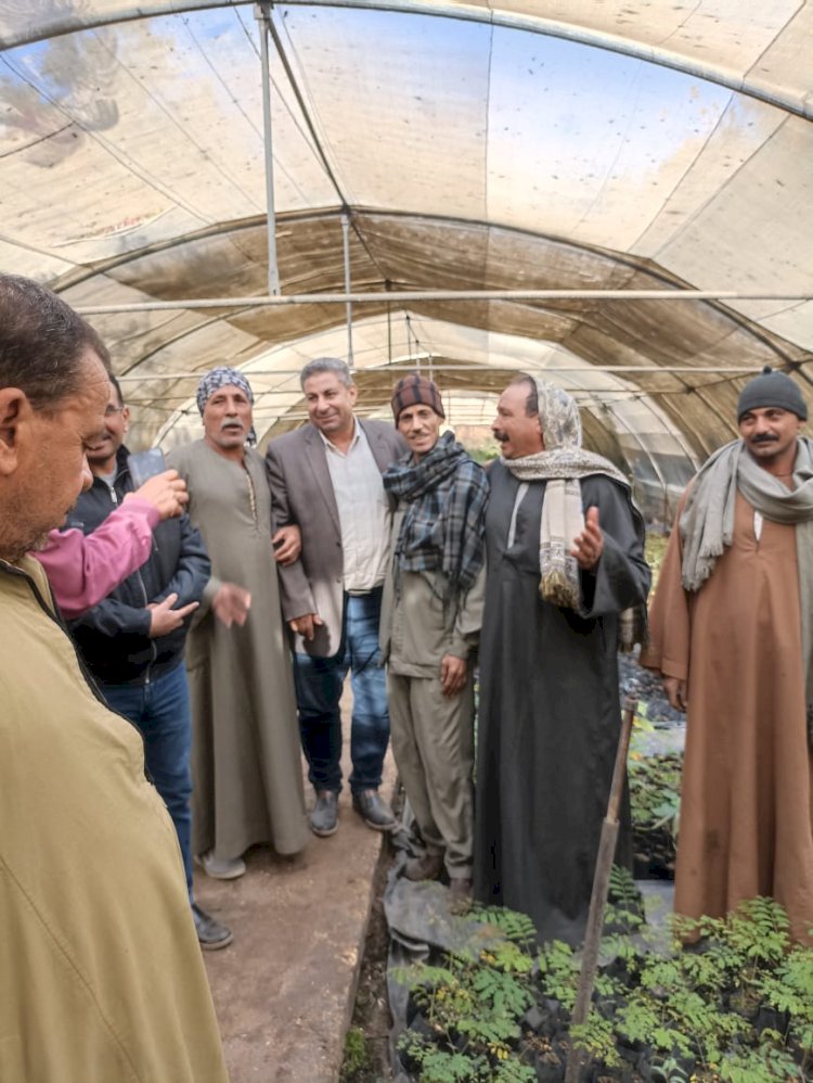 الزراعة:المركزية للتشجير تستعرض جهودها علي مستوي الجمهورية