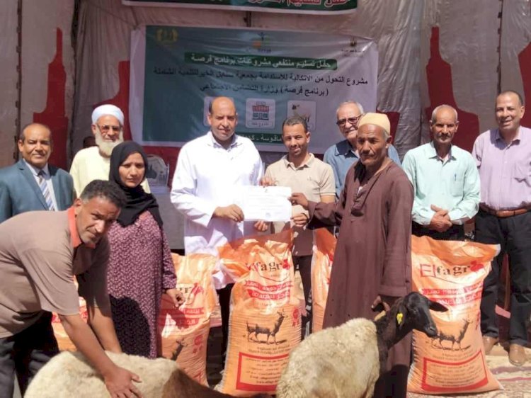 تسليم 120 رأس ماشية بقرية ماقوسة بمركز المنيا ضمن برنامج "فرصة"
