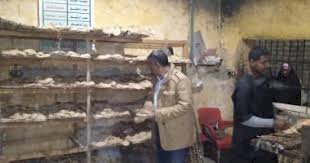 تحرير ١٥٧ مخالفة تموينية للمخابز البلدية بمركز ملوي بالمنيا