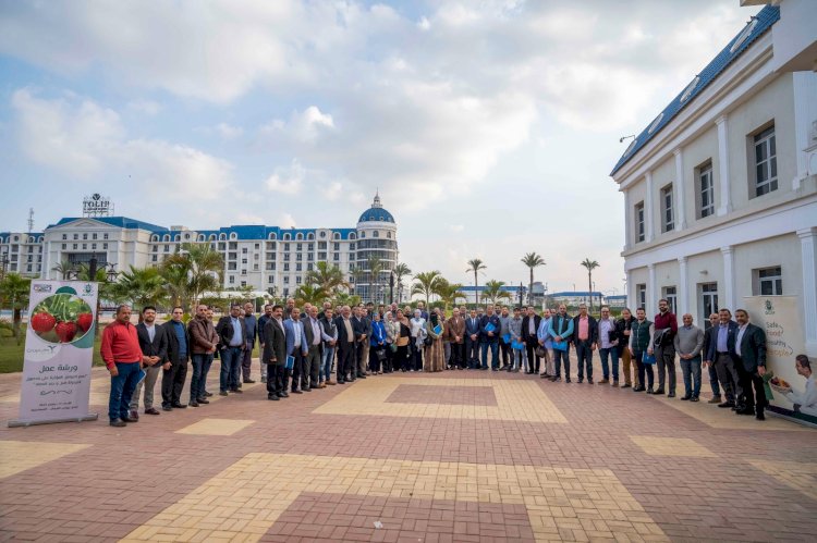 الزراعة ورشة عمل لمنتجي ومصدري الفراولة بالاسماعيلية
