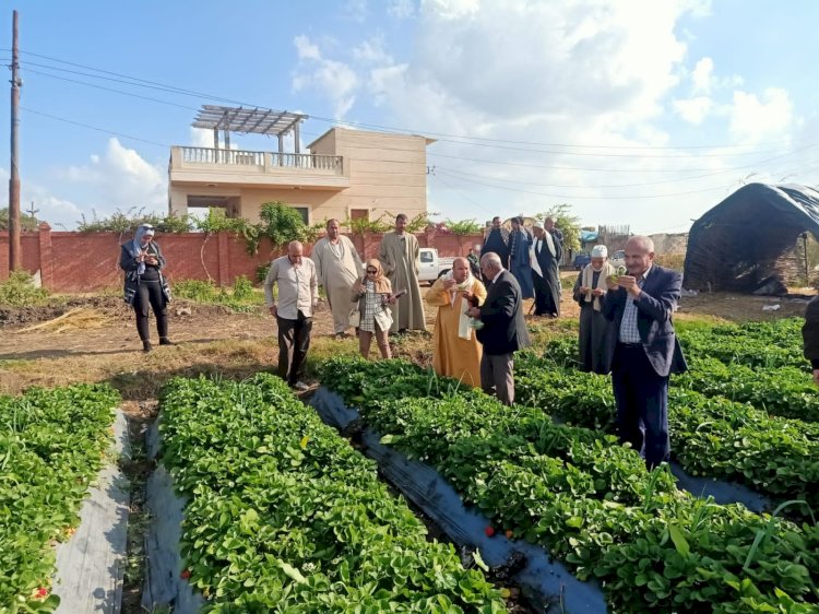 الزراعة المركزية لمتابعة الافات تتابع المحاصيل علي مستوي الجمهورية