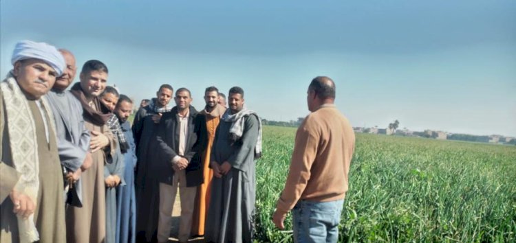 فرق الارشاد الزراعي مع المزارعين في جميع المحافظات