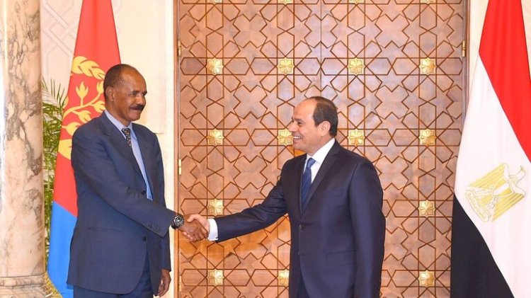 سامح شكري يحمل رسالة الرئيس السيسي إلي اريتريا
