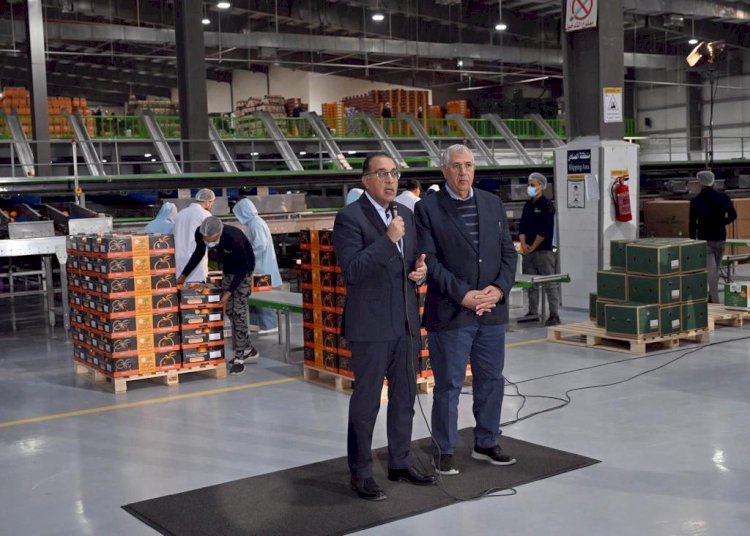 رئيس الوزراء: التوسع في تطبيق نظم الري الحديثة