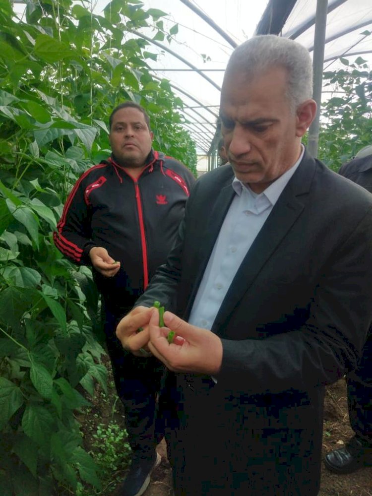 رئيس محطات البحوث الزراعية يتفقد تربية المحاصيل الاستراتيجية بمحطة سخا