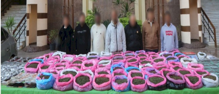 القبض علي تجار "القات" بالقاهرة والجيزة