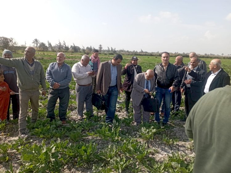 "١٨٥"خبير ومرشد وباحث شاركوا في الفرق الارشادية للمحاصيل الشتوية