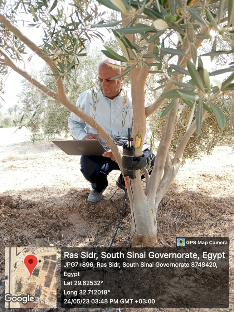 تعاون بين بحوث الصحراء وجامعة الملك سلمان في التقنيات الزراعية الحديثة