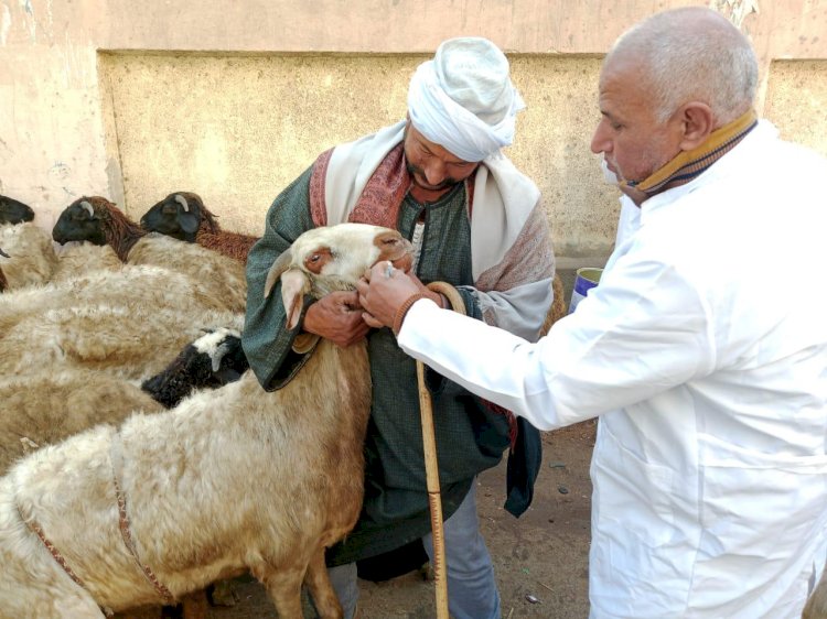 اعطاء اكثر من ٦,٧ مليون جرعة ضد مرضي الحمي القلاعية والوادي المتصدع