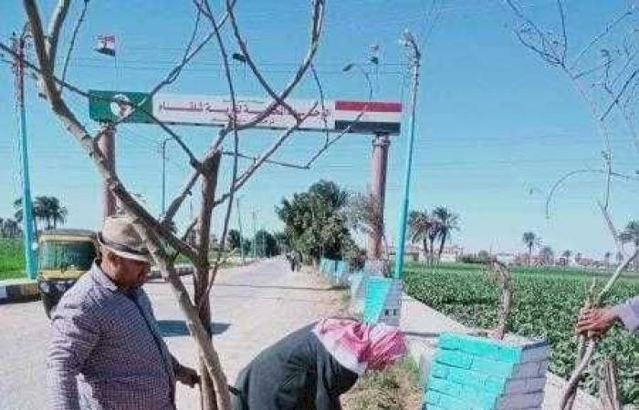 مبادرة " 100 مليون شجرة" تزرع أشجار زينة و مثمرة بمراكز مطاى وبنى مزار و المنيا