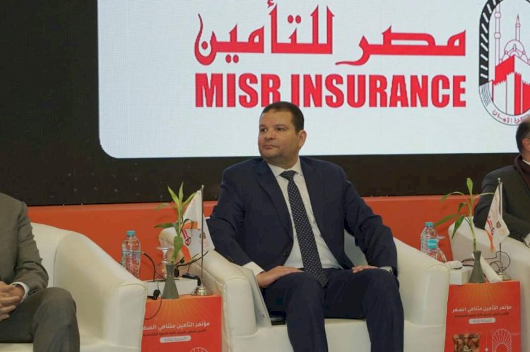 وزير المالية:التأمين متناهي الصغر قاطرة القطاع