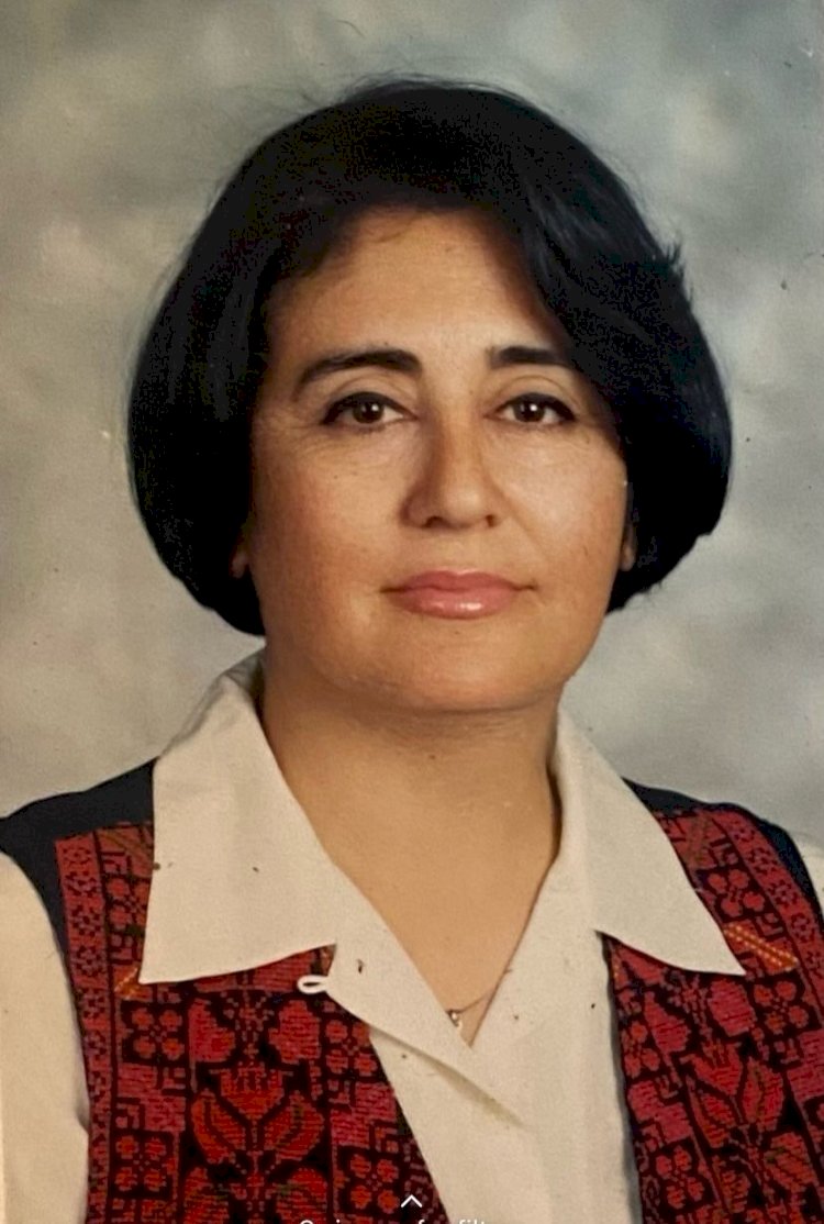 البحث عن مفقود قصة - بشرى أبو شرار / فلسطين