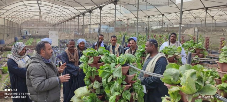 دورة تدريبية حول التقنيات الزراعية الحديثة