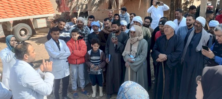 قوافل بيطرية لعلاج مواشي صغار المربين بالفيوم