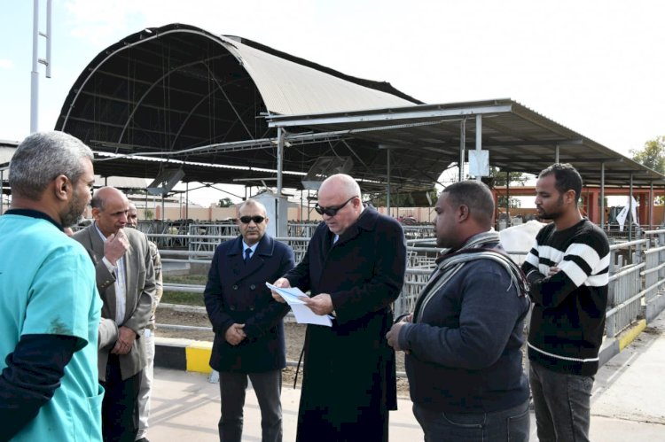 الداودي:يستعرض مشروعات حياة كريمة