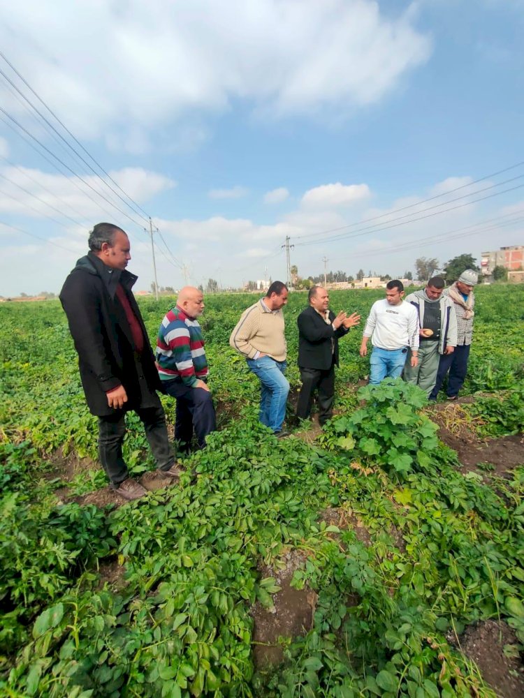 فرق الزراعة الارشادية جابت" ٢٢ "محافظة