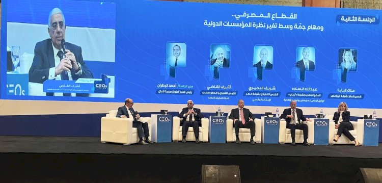 أشرف القاضي:  البنوك المصرية ومنتجاتها الحالية والحلول الرقمية داعم كبير لتدفق الاستثمارات