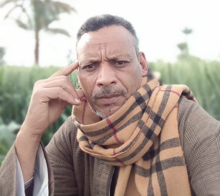 امبابه ... شعر نصر هاشم