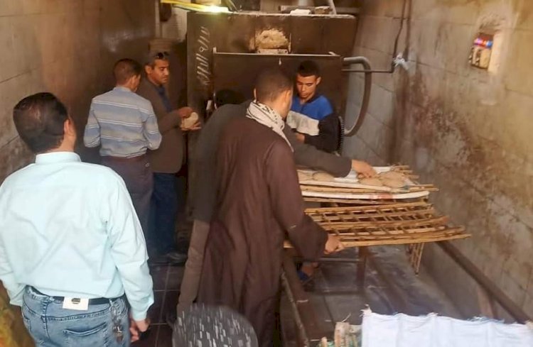 تموين المنيا يضبط ٧٤ مخالفة متنوعة خلال حملات على المخابز البلدية