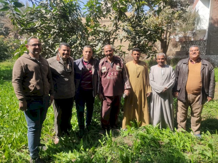 الزراعة: تتابع اعمال البساتين والمشاتل بالمنيا