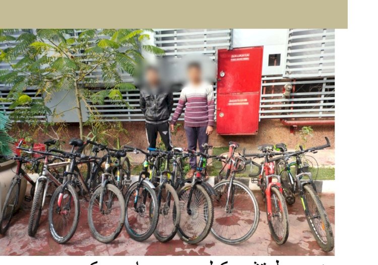 ضبط تشكيلات سرقة الدراجات بالدقهلية والقليوبية