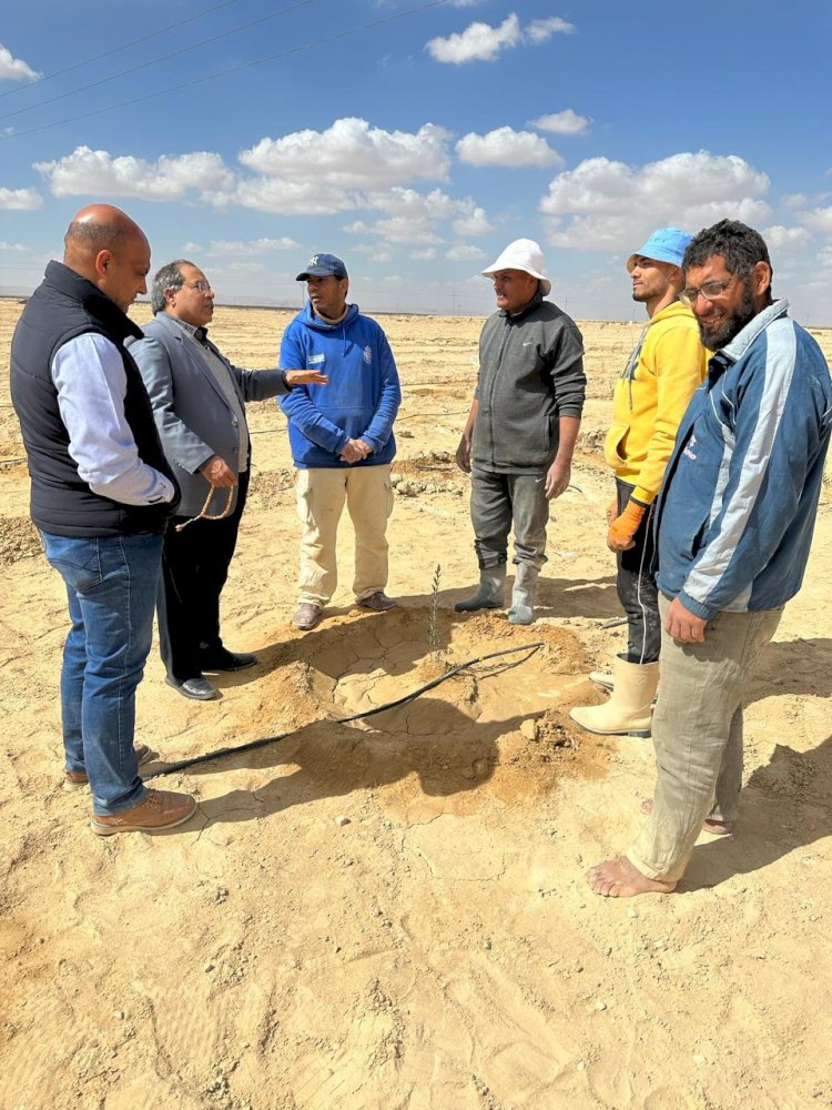 الزراعة:تتابع دعم المنتفعين من مشروعات التجمعات الزراعية بسيناء