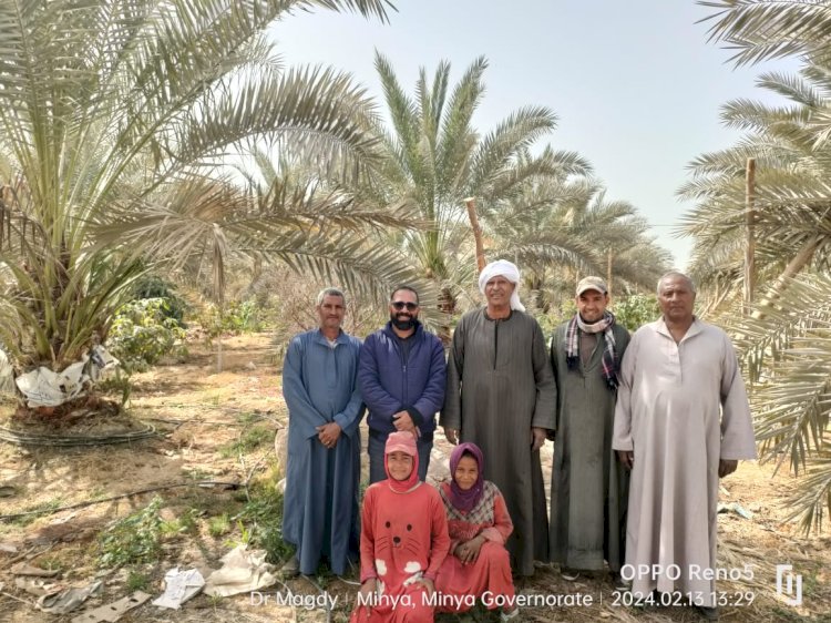 الزراعة تعلن ابرز انشطة معمل النخيل