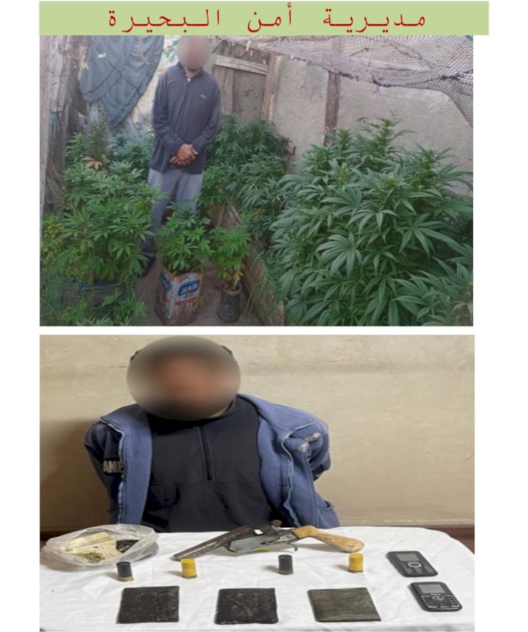 ضبط تجار المخدرات والاسلحة في عدة محافظات