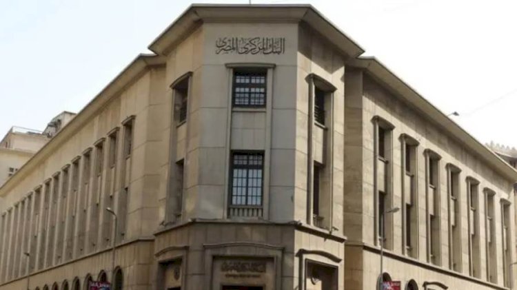 «رواد النيل» توفر 430 ألف خدمة غير مالية لأكثر من 147 ألف مشروع من خلال 110 مراكز لتطوير الأعمال