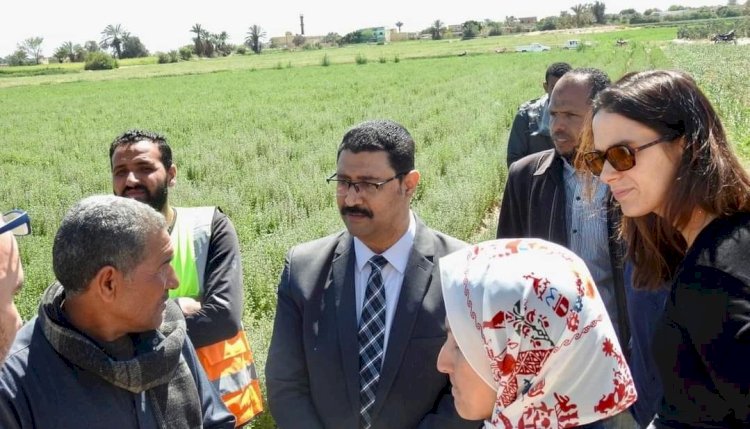 زراعة المنيا تستقبل وفد المنظمة الدولية ايفاد لتفقد الاستثمارات الزراعية بالظهير الصحراوي