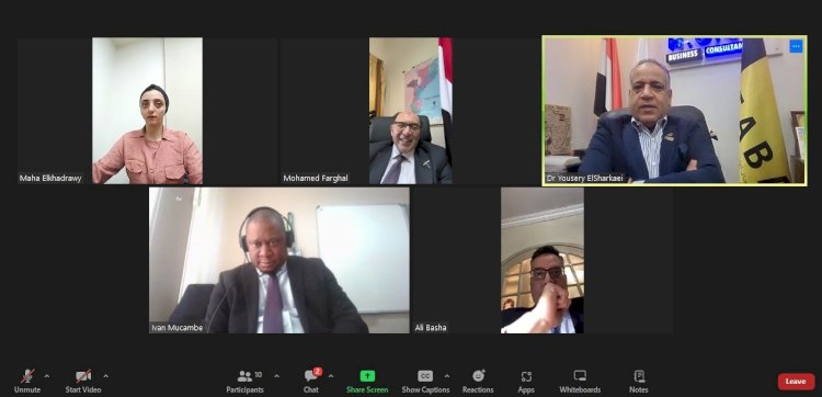 الشرقاوي:تعزير التعاون المصري الموزمبيقي